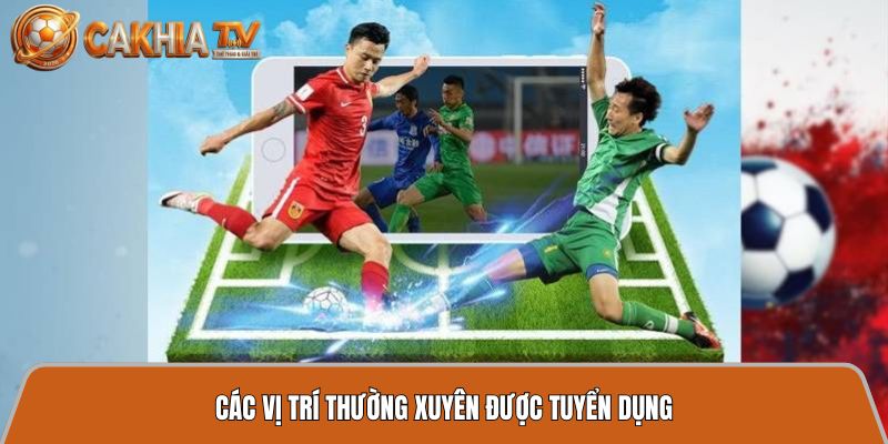 cac vi tri thuong xuyen duoc tuyen dung