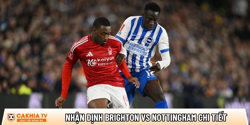 Nhận định Brighton vs Nottingham, 21h00 ngày 01/03 - Ngoại hạng Anh 4 nhan dinh brighton vs nottingham chi tiet