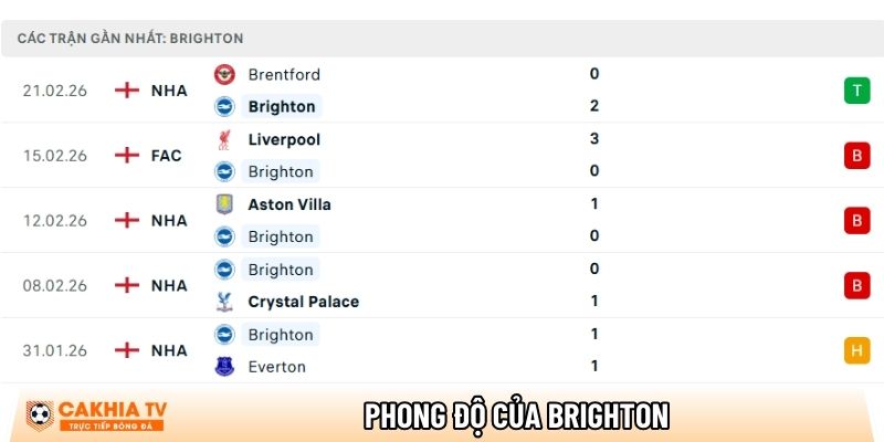 Nhận định Brighton vs Nottingham, 21h00 ngày 01/03 - Ngoại hạng Anh 1 phong do cua brighton