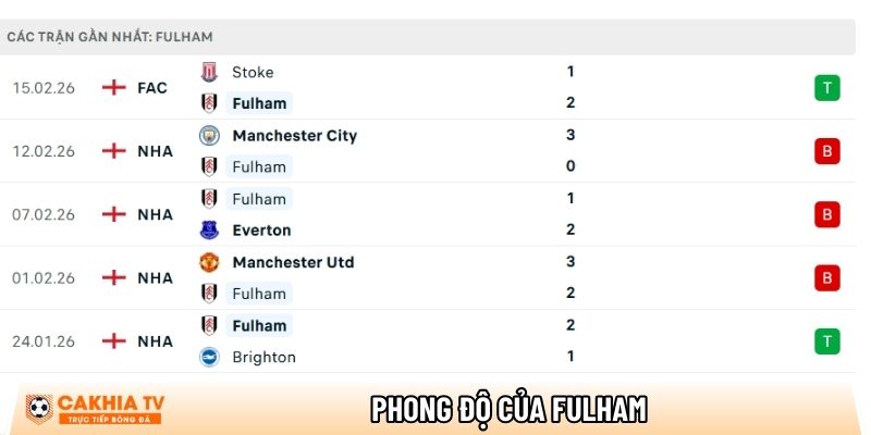 phong do cua fulham