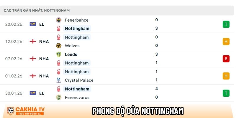 Nhận định Brighton vs Nottingham, 21h00 ngày 01/03 - Ngoại hạng Anh 2 phong do cua nottingham