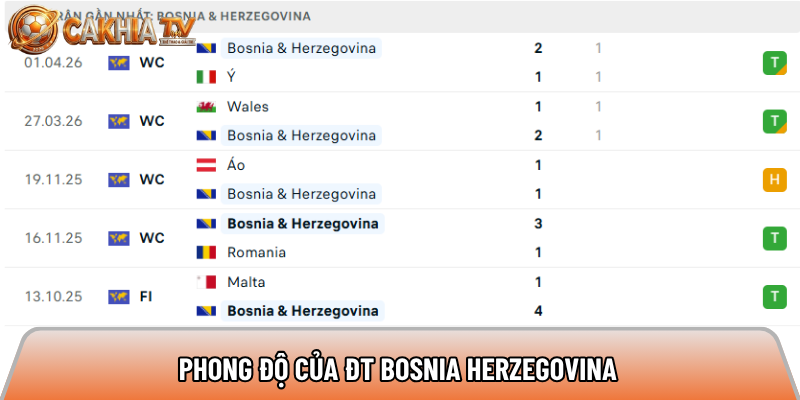 Phong độ của ĐT Bosnia & Herzegovina 