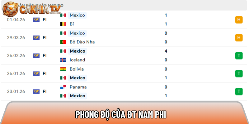 Phong độ của ĐT Nam Phi 
